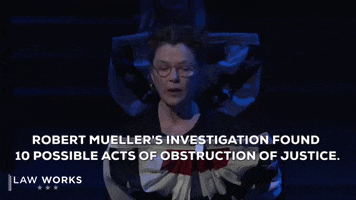 mueller the mueller report the investigation lawworks action GIF