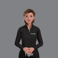 Avatar Tiger GIF by Sign Time - SiMAX