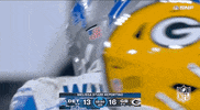 Detroit Lions Football GIF by NFL