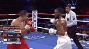 toprank fight boxing fighting espn GIF