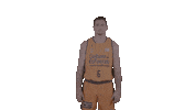 vamos liga endesa Sticker by ACB