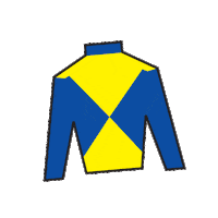 Sport Silk Sticker by Kentucky Derby