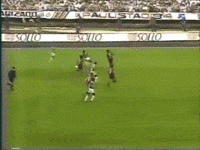 brasileiro 1993 GIF by SE Palmeiras