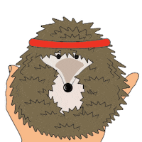 Porcupine Sticker