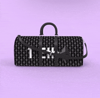 3D Nft GIF by Persist ventures