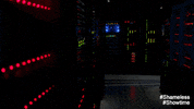 jeremy allen white GIF by Showtime