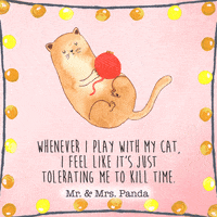 Cat Lol GIF by Mr. & Mrs. Panda