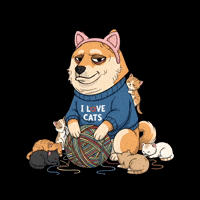 Shiba Inu Cats GIF by Doge Pound
