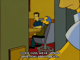homer simpson GIF