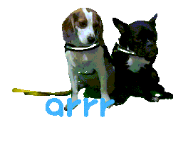 아르르 Sticker by arrr_official