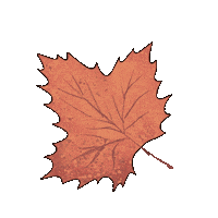Fall Autumn Sticker