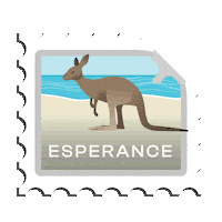 Walking On A Dream Kangaroo Sticker by Western Australia