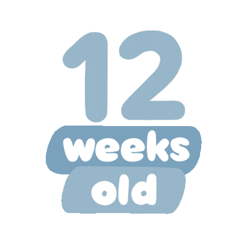 Baby Age Sticker by westeggpress