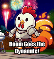 Summer Fireworks GIF by Zorooster