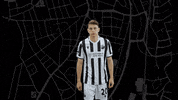 Svs1916 GIF by SV Sandhausen