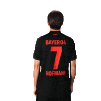 Bayer 04 Football Sticker by Bayer 04 Leverkusen