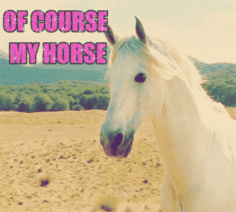 of course my horse GIF by chuber channel