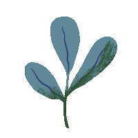 Flower Leaf Sticker by TOrZoNBorZ