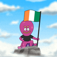 Flag Ireland GIF by Octo Gaming