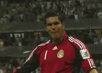 Liga Mx Football GIF by MiSelecciónMX