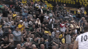 Clapping Fans GIF by William & Mary Tribe Athletics
