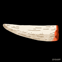 Poaching Animation Domination GIF by gifnews