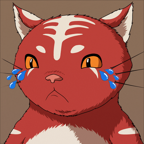Cat Love GIF by Kitaro World