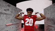 College Football GIF by Wisconsin Badgers