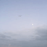 si2 GIF by Solar Impulse