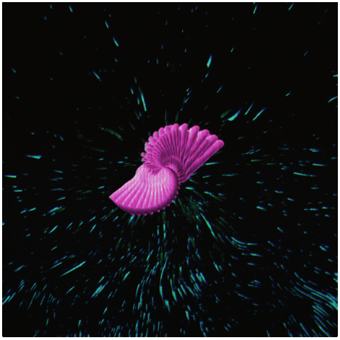 GIF by CompostRecords
