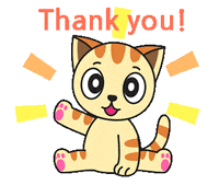 Cat Thank You GIF by JPedicini