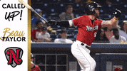 GIF by UCF Knights