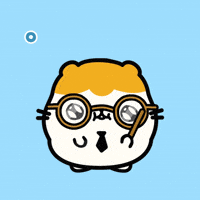 Hamster Mistake GIF