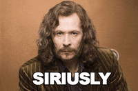 Harry Potter Seriously GIF