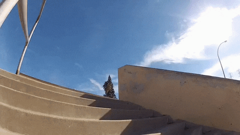 Rest In Peace Skate GIF by deladeso
