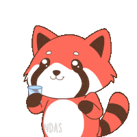 Drink More Red Panda Sticker