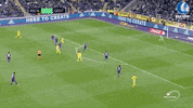 birger verstraete football GIF by KAA Gent