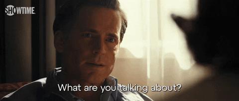 Season 1 Hawk GIF by SHOWTIME