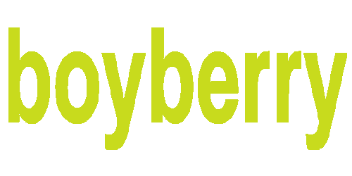 Boyberry Barcelona Sticker by boyberry