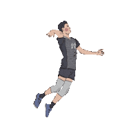 chengchengzz 排球 台電 台電男排 Sticker
