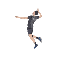 chengchengzz 排球 台電 台電男排 Sticker