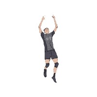chengchengzz 排球 台電 台電男排 Sticker