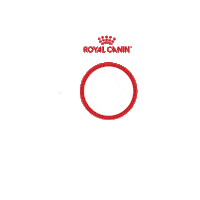 Cat Kitten Sticker by Royal Canin Brasil