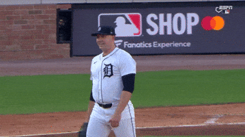 Detroit Tigers Sport GIF by MLB