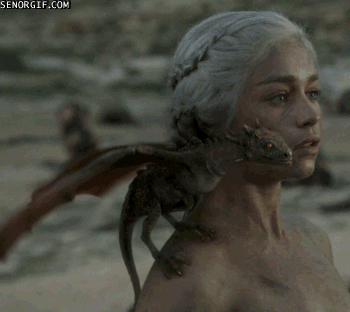 game of thrones win GIF by Cheezburger