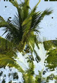 video art glitch GIF by Sabato Visconti