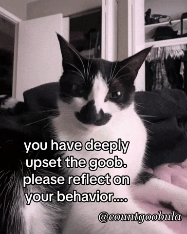 countgoobula angry mad upset funnycat GIF