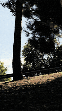 Mad Travel GIF