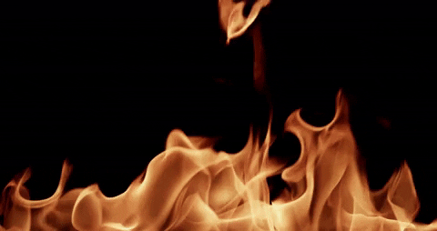 shopdjv giphygifmaker GIF