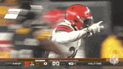 Football Sport GIF by NFL